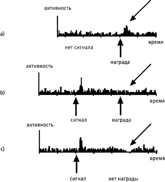 Иллюстрация к книге — Мозг и душа. Как нервная деятельность формирует наш внутренний мир [i_040.jpg]