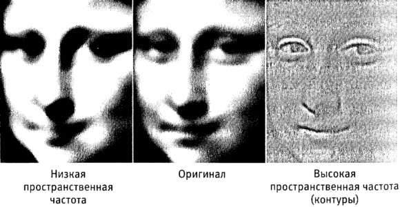 Иллюстрация к книге — Мозг и душа. Как нервная деятельность формирует наш внутренний мир [i_046.jpg]