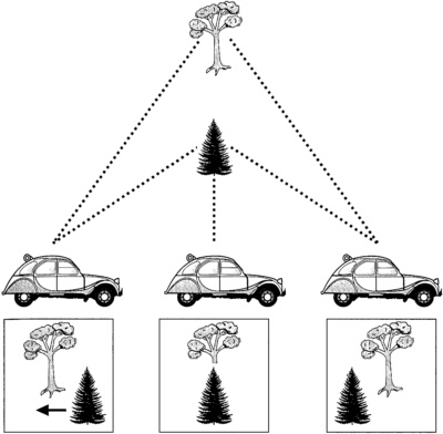 Иллюстрация к книге — Мозг и душа. Как нервная деятельность формирует наш внутренний мир [i_053.jpg]