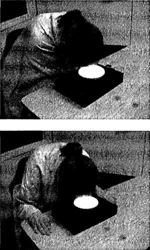 Иллюстрация к книге — Мозг и душа. Как нервная деятельность формирует наш внутренний мир [i_060.jpg]