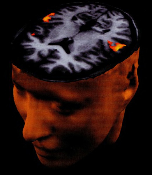 Иллюстрация к книге — Мозг и душа. Как нервная деятельность формирует наш внутренний мир [i_079.jpg]