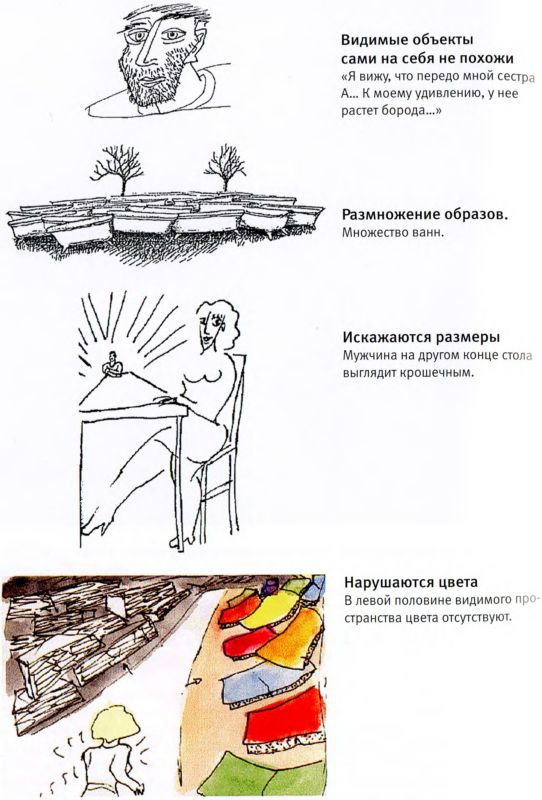 Иллюстрация к книге — Мозг и душа. Как нервная деятельность формирует наш внутренний мир [i_081.jpg]