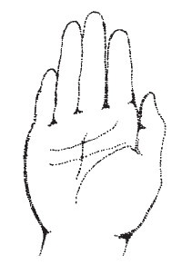 Иллюстрация к книге — Лицо - зеркало души. Физиогномика для всех [i_004.jpg]