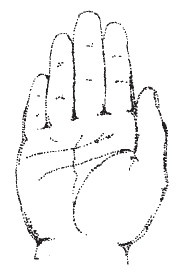 Иллюстрация к книге — Лицо - зеркало души. Физиогномика для всех [i_008.jpg]