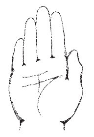 Иллюстрация к книге — Лицо - зеркало души. Физиогномика для всех [i_010.jpg]