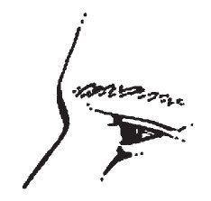 Иллюстрация к книге — Лицо - зеркало души. Физиогномика для всех [i_024.jpg]