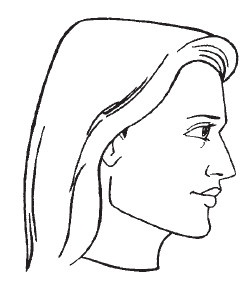 Иллюстрация к книге — Лицо - зеркало души. Физиогномика для всех [i_034.jpg]