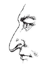 Иллюстрация к книге — Лицо - зеркало души. Физиогномика для всех [i_036.jpg]