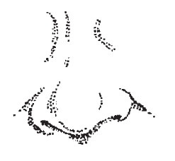 Иллюстрация к книге — Лицо - зеркало души. Физиогномика для всех [i_039.jpg]