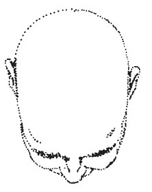 Иллюстрация к книге — Лицо - зеркало души. Физиогномика для всех [i_063.jpg]