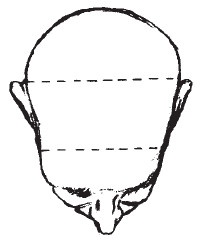 Иллюстрация к книге — Лицо - зеркало души. Физиогномика для всех [i_073.jpg]