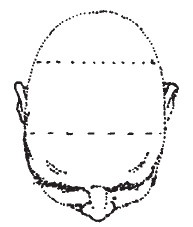 Иллюстрация к книге — Лицо - зеркало души. Физиогномика для всех [i_075.jpg]