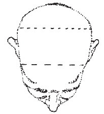 Иллюстрация к книге — Лицо - зеркало души. Физиогномика для всех [i_076.jpg]