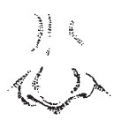 Иллюстрация к книге — Лицо - зеркало души. Физиогномика для всех [i_124.jpg]