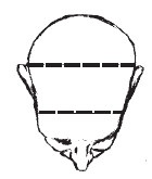 Иллюстрация к книге — Лицо - зеркало души. Физиогномика для всех [i_140.jpg]