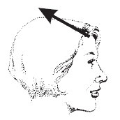 Иллюстрация к книге — Лицо - зеркало души. Физиогномика для всех [i_141.jpg]