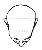 Иллюстрация к книге — Лицо - зеркало души. Физиогномика для всех [i_146.jpg]