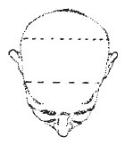 Иллюстрация к книге — Лицо - зеркало души. Физиогномика для всех [i_147.jpg]