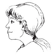 Иллюстрация к книге — Лицо - зеркало души. Физиогномика для всех [i_155.jpg]