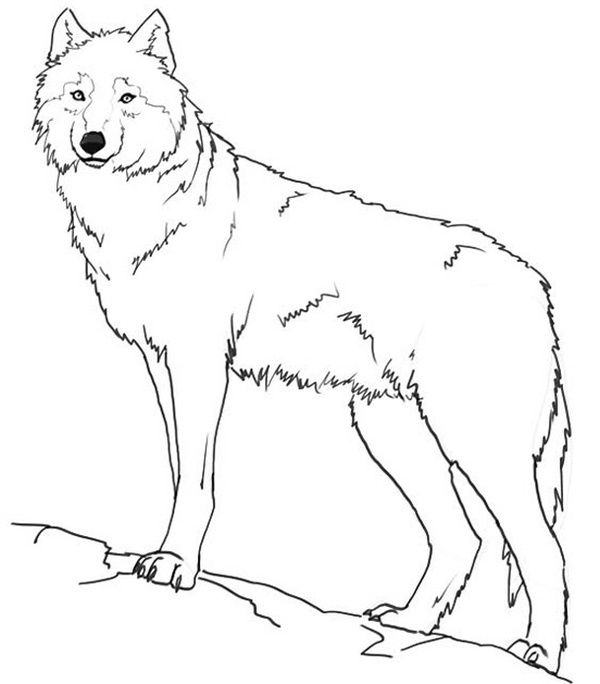 Иллюстрация к книге — Тайны Шаман-камня [i_002.jpg]