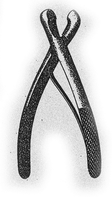 Иллюстрация к книге — Монстролог. Кровавый остров [i_002.jpg]