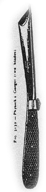 Иллюстрация к книге — Монстролог. Кровавый остров [i_007.jpg]