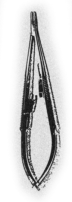 Иллюстрация к книге — Монстролог. Кровавый остров [i_011.jpg]