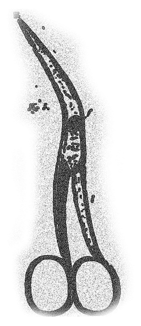 Иллюстрация к книге — Монстролог. Кровавый остров [i_012.jpg]