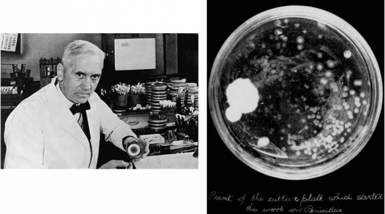 Иллюстрация к книге — Звездный витамин [i_014.jpg]