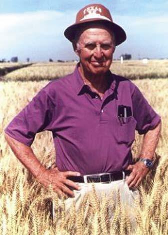 Иллюстрация к книге — Звездный витамин [i_017.jpg]