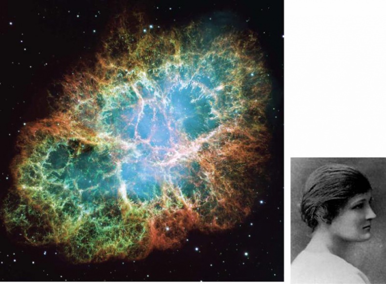 Иллюстрация к книге — Звездный витамин [i_029.jpg]