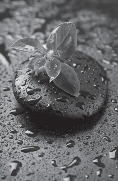 Иллюстрация к книге — Дао голоса. Голос как ваш инструмент [_22.jpg]