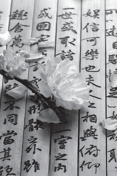 Иллюстрация к книге — Дао голоса. Голос как ваш инструмент [_23.jpg]