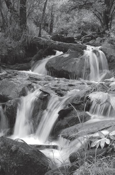 Иллюстрация к книге — Дао голоса. Голос как ваш инструмент [_59.jpg]