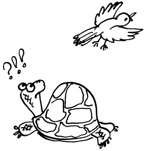 Иллюстрация к книге — Простая правильная жизнь [i_054.jpg]