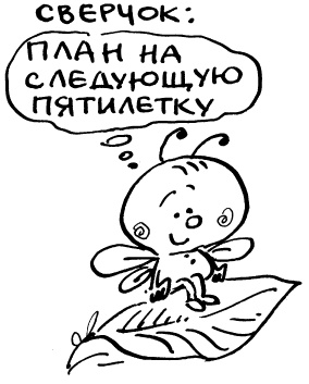 Иллюстрация к книге — Простая правильная жизнь [i_062.jpg]