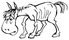 Иллюстрация к книге — Простая правильная жизнь [i_129.jpg]