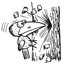 Иллюстрация к книге — Простая правильная жизнь [i_134.jpg]