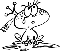 Иллюстрация к книге — Жизнь удалась! Как успевать полноценно жить и работать [i_052.jpg]