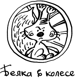 Иллюстрация к книге — Жизнь удалась! Как успевать полноценно жить и работать [i_068.jpg]