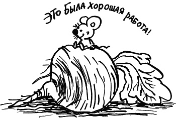 Иллюстрация к книге — Жизнь удалась! Как успевать полноценно жить и работать [i_103.jpg]