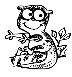 Иллюстрация к книге — Начнем сначала, или Как разглядеть свое Завтра [i_096.jpg]