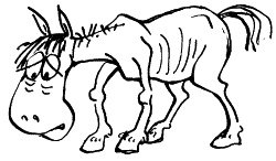 Иллюстрация к книге — Начнем сначала, или Как разглядеть свое Завтра [i_099.jpg]