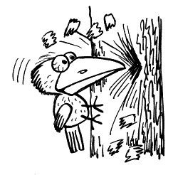 Иллюстрация к книге — Начнем сначала, или Как разглядеть свое Завтра [i_105.jpg]