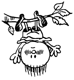 Иллюстрация к книге — Начнем сначала, или Как разглядеть свое Завтра [i_112.jpg]