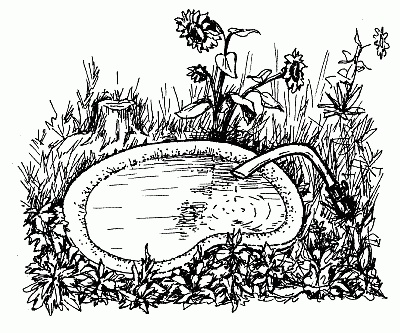 Иллюстрация к книге — Вода в доме и на участке [i_065.jpg]