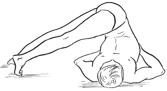 Иллюстрация к книге — Лечение болезней щитовидной железы [_180.jpg]