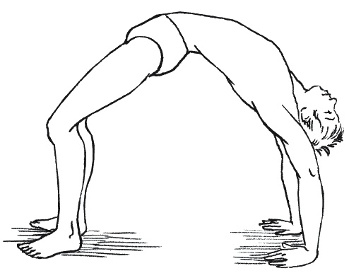 Иллюстрация к книге — Лечение болезней щитовидной железы [_183.jpg]