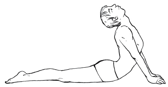 Иллюстрация к книге — Лечение болезней щитовидной железы [_186.jpg]