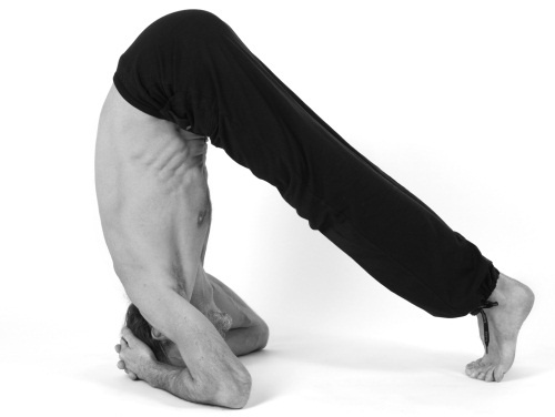 Иллюстрация к книге — Йога 7x7. Суперкурс для начинающих [i_012.jpg]